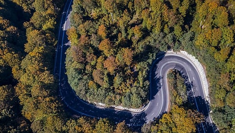 A road passing through a forest is an example of forest land being diverted for infrastructure. Photo: Getty Images