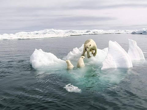 By 2050, climate change may threaten human existence