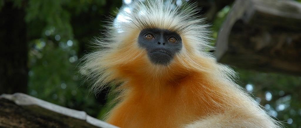 Global Eco Watch: Major ecological happenings of the week (June 3 - June 9)
