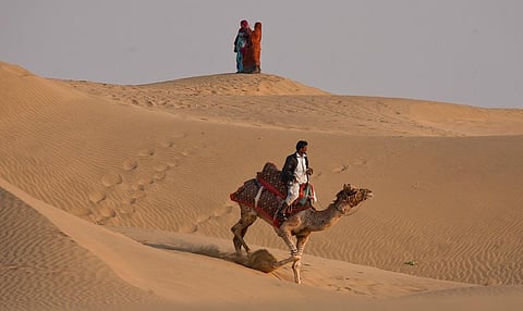 भारत में तेजी से बढ़ रहा हे मरूस्थलीकरण। फोटो: विकास चौधरी 