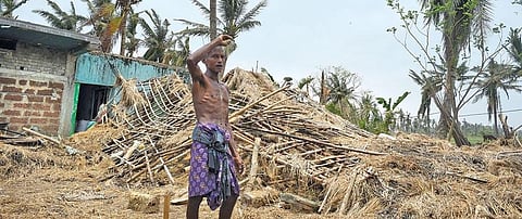 Loss of the state’s tree cover can cause more heat traps and heat waves (Photographs: Adithyan PC)