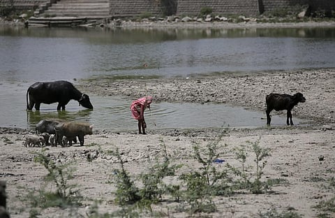 Photo: Vikas Choudhary 