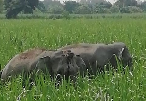 Photo: Jyoti Pandey 