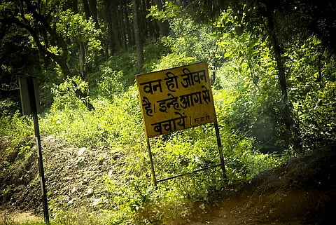 Photo Credit: Creative commons 