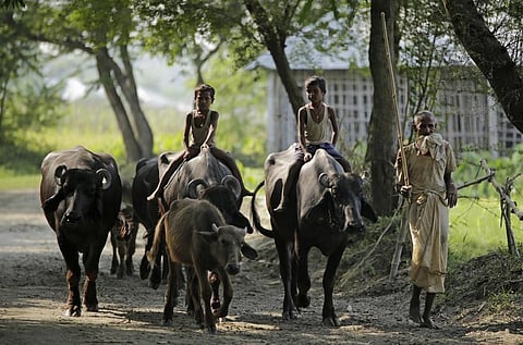 Photo: Vikas Choudhary 