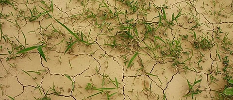 Scant July rainfall: India may face drought, floods again 