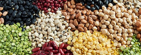 Various types of pulses. Photo: Getty Images