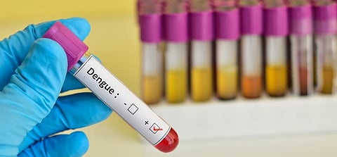 South India under the grip of dengue again