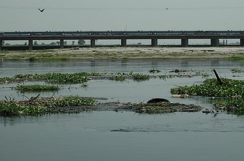Photo : Samrat Mukharjee