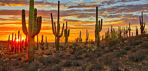 Warming planet may drive return of ‘medieval megadroughts’ in US 