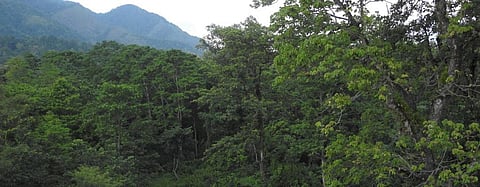 FRA claims are being wrongfully rejected in West Bengal's Duars region, which includes the Buxa Tiger Reserve shown here. Photo: Wikimedia Commons