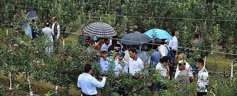 Around 100 farmers came for a day visit to the high density apple plantations at Dr YS Parmar University of Horticulture and Forestry.