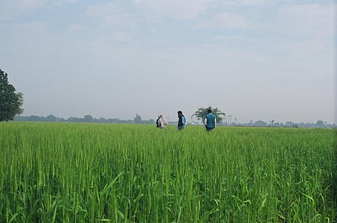 Union Budget 2020-21: Not one to double farmers' income