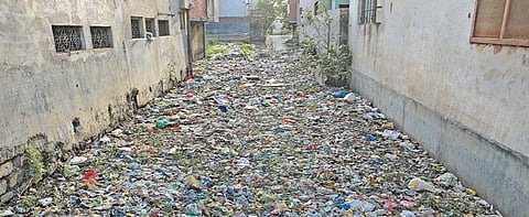 Assi, the Ganga’s tributary, is barely visible as residents of Varanasi have constructed buildings and dispose all their waste here. Photo: Vikas Choudhary