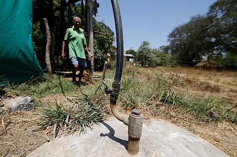 Physical appearance of crops treated with biogas slurry was much better, said farmers in Gujarat's Valsad. Photo: Vikas Choudhary