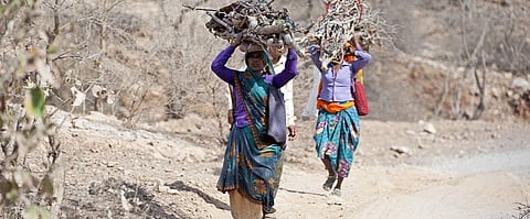 The government agencies lack an understanding of how adivasis historically “tilled” their land and survived in the forest. Photo: Getty Images