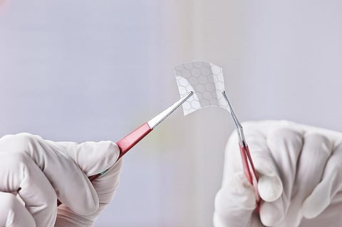 New method to fabricate graphene sheet fabricated from camphor