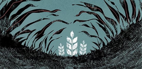 Illustration: Tarique Aziz/ CSE
