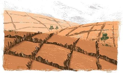 तारिक अजीज / सीएसई