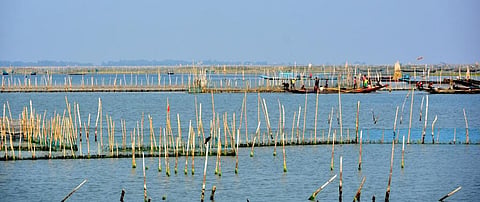 Odisha begins process to extract oil from grounded ship in Chilika