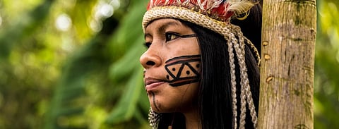 Indigenous people not given their due for conserving forests: UNCCD report