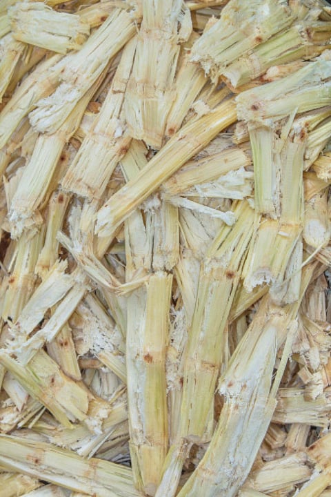Lignin from agro waste helps make useful nanocomposites