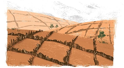 Illustration: Tarique Aziz