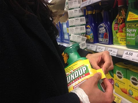Bayer, after taking over Monsanto last year, has been facing a wave of lawsuits alleging that the herbicide causes cancer. Photo: Global Justice Now/Flickr