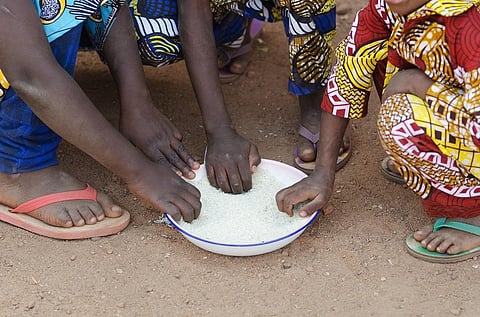Poor harvest in 2019 may push 6.3 million Somalis to hunger by year end