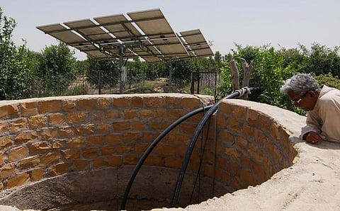 Agriculture in Jaisalmer grew at a phenomenal pace because of availability of more water. Photo: Arnab Pratim Dutta