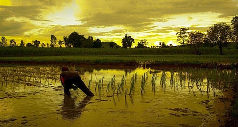 Invest $1.7 trillion in nature-based solutions to adapt to climate change: UNCCD report