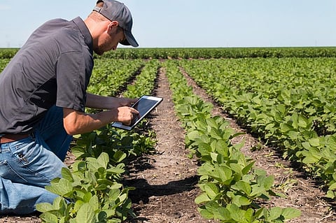 How IT, communication can boost sustainable farming in India