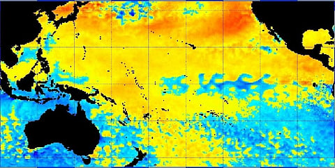 A map displaying a sea surface temperature anomaly in the Pacific Ocean. Photo: National Oceanic and Atmospheric Administration