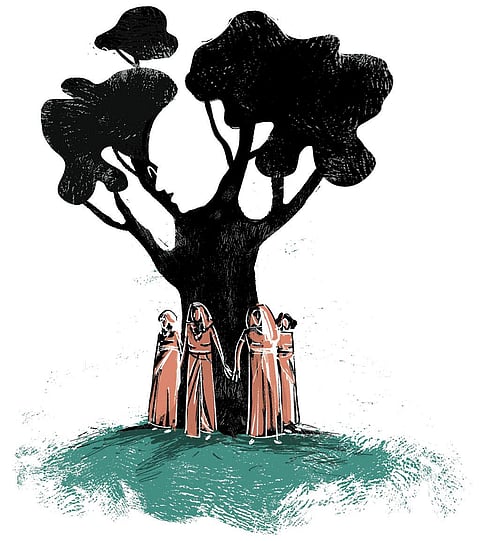 इलेस्ट्रेशन: तारिक अजीज