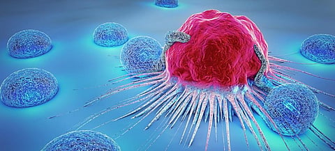 Study opens new avenue for preventing cancer