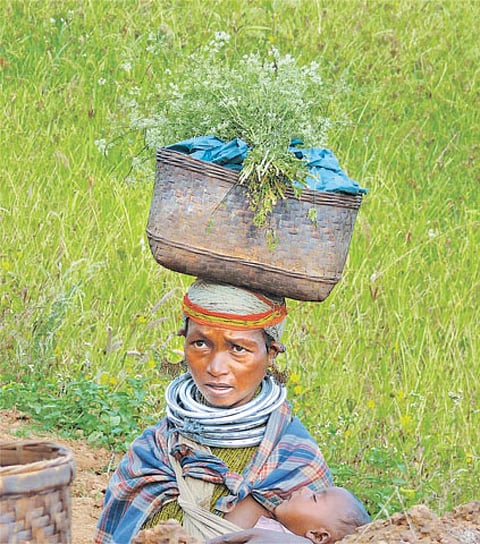 रीता विलआर्ट