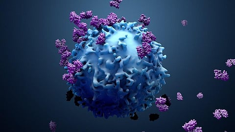 Grand challenge for cancer research announced