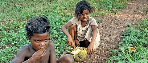 Use DMF funds effectively to fight hunger and child malnutrition