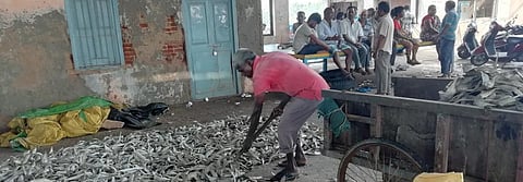 Kakinada fishers grapple with pollution, climate change and unemployment