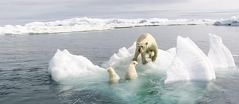 Global Eco Watch: Major ecological happenings of the week (October 22 – 27)