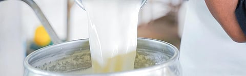 Milk in India is certainly not as safe as the food regulator claims