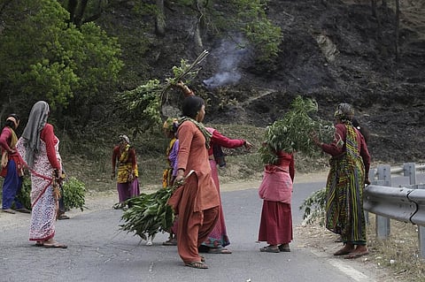 उत्तराखंड के जंगलों में जब आग लगती है तो औरतें इस तरह पेड़ों को बचाने पहुंच जाती हैं। अब देखना है कि प्रदेश के लोग अपने जंगल कैसे बचाते हैं? फोटो: विकास चौधरी 