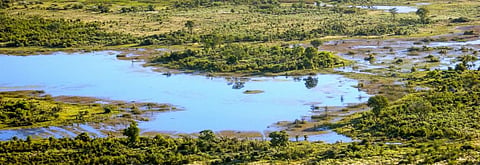 Botswana is humanity’s ancestral home, claims major study – well, actually …