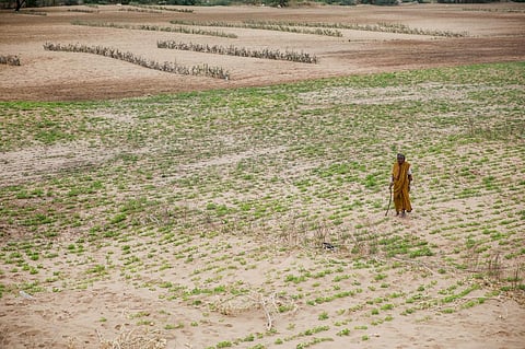 More than 10,000 farmers, farm hands committed suicide in 2017
