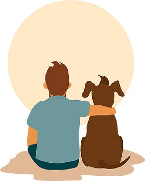 What the dog saw