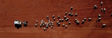 11,000 scientists warn: Climate change isn’t just about temperature