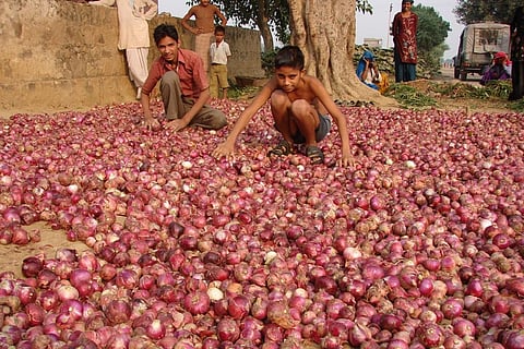 Photo: Kumar Sambhav Shrivastava
