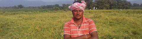 Telangana farmers in trouble after unseasonal rains destroy crops