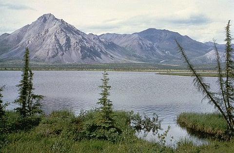 Photo: Wikimedia commons 