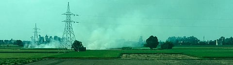 Stubble being burnt in a field in Kurukshetra, Haryana in late September. Photo: @Daksh280 / Twitter
